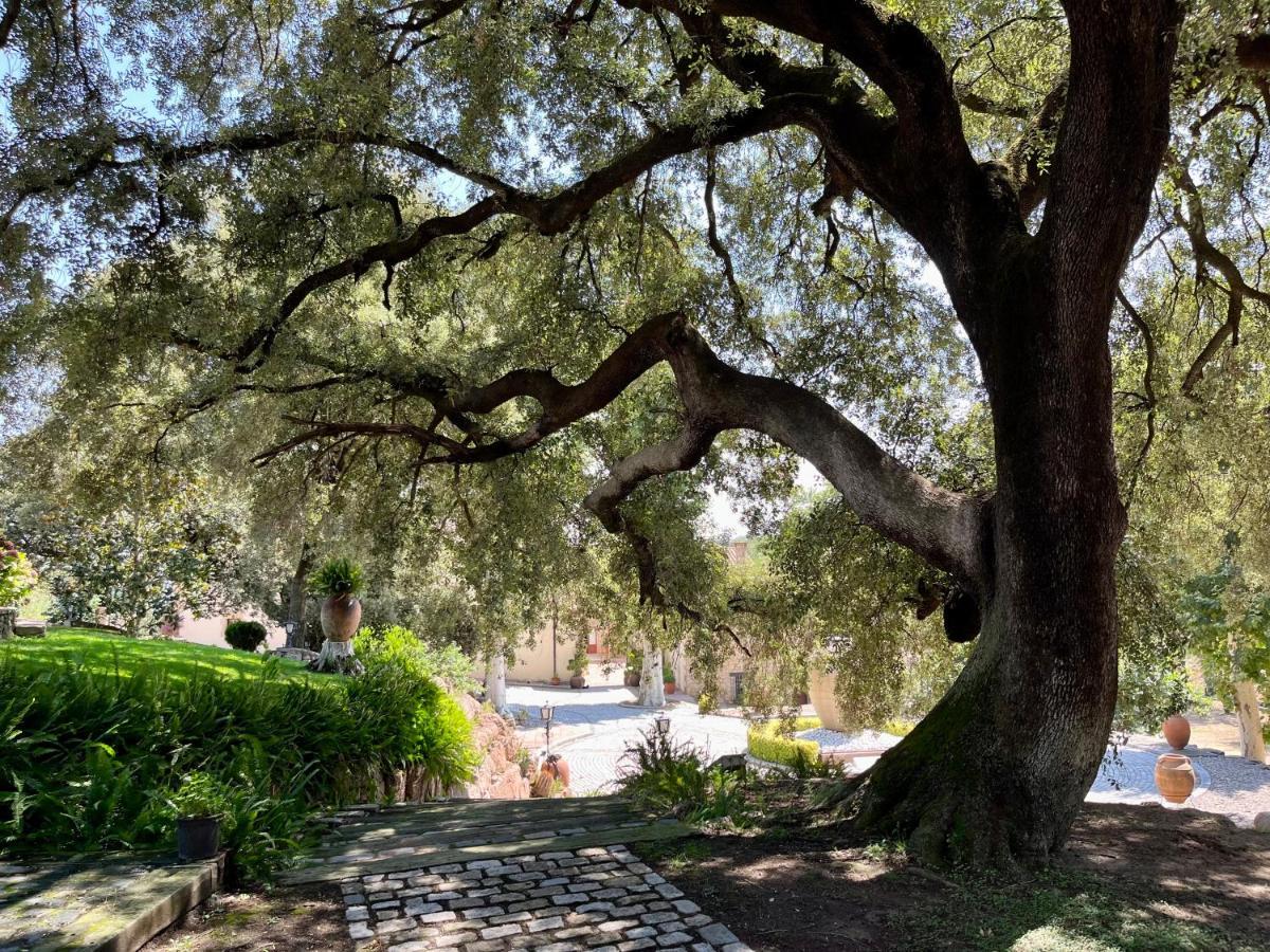 بيغيس Masia Can Viver - Olive Oil Tourism B&B المظهر الخارجي الصورة