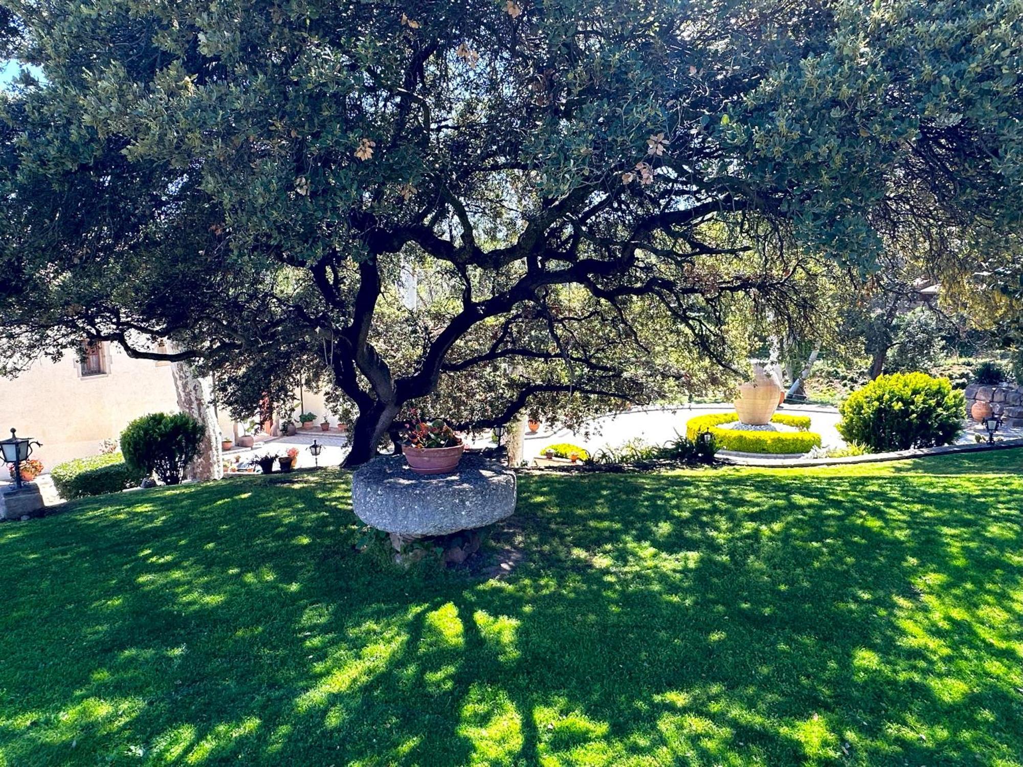 بيغيس Masia Can Viver - Olive Oil Tourism B&B المظهر الخارجي الصورة